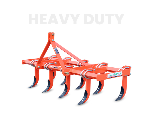 10-Deacetylbaccatin III